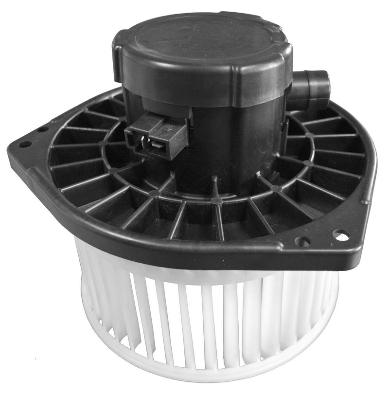 HD-60-019