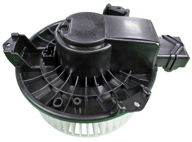 HD-60-081